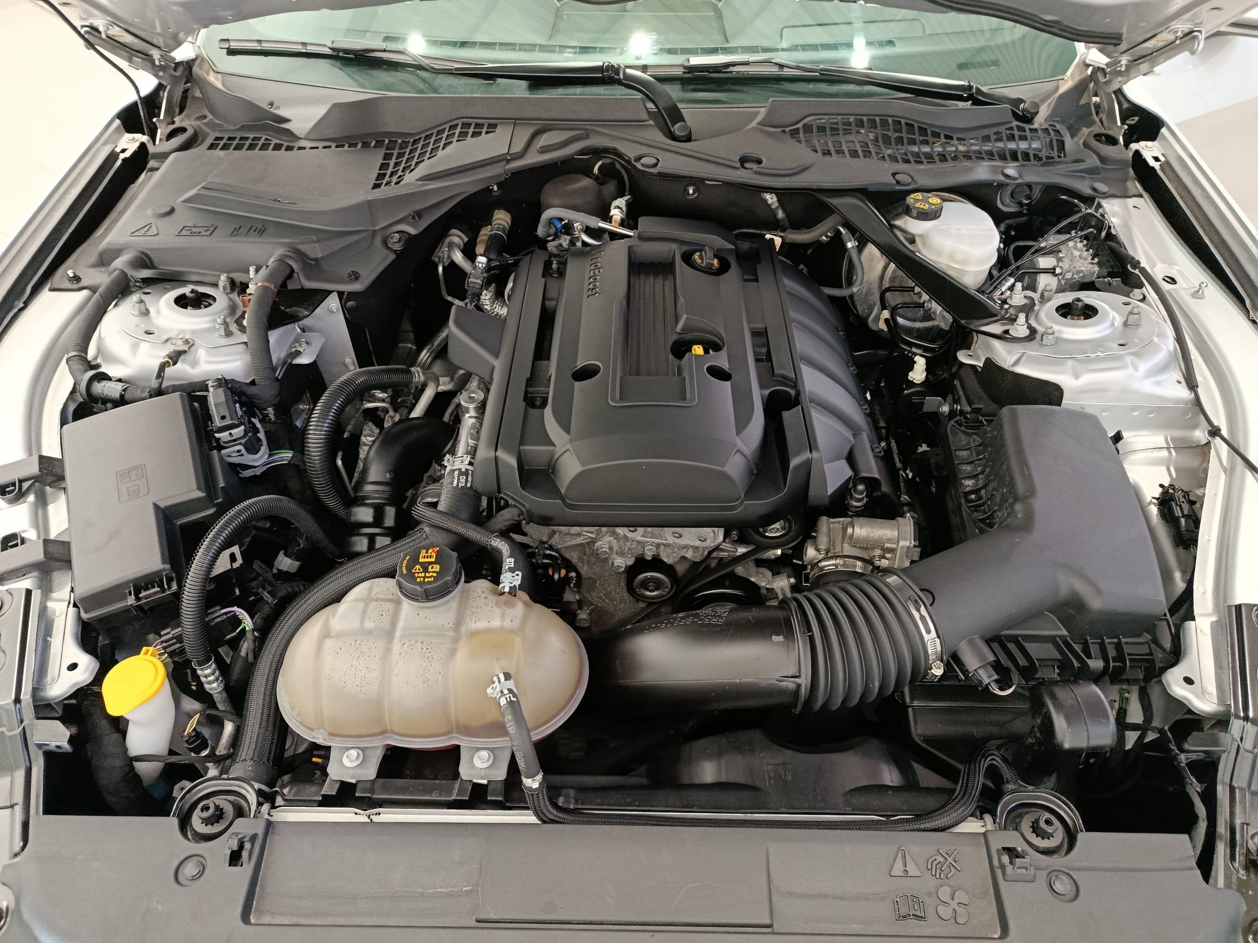 FORD MUSTANG 2.3ECOBOOST FASTBACK 290cv AUTO - Imagen 23