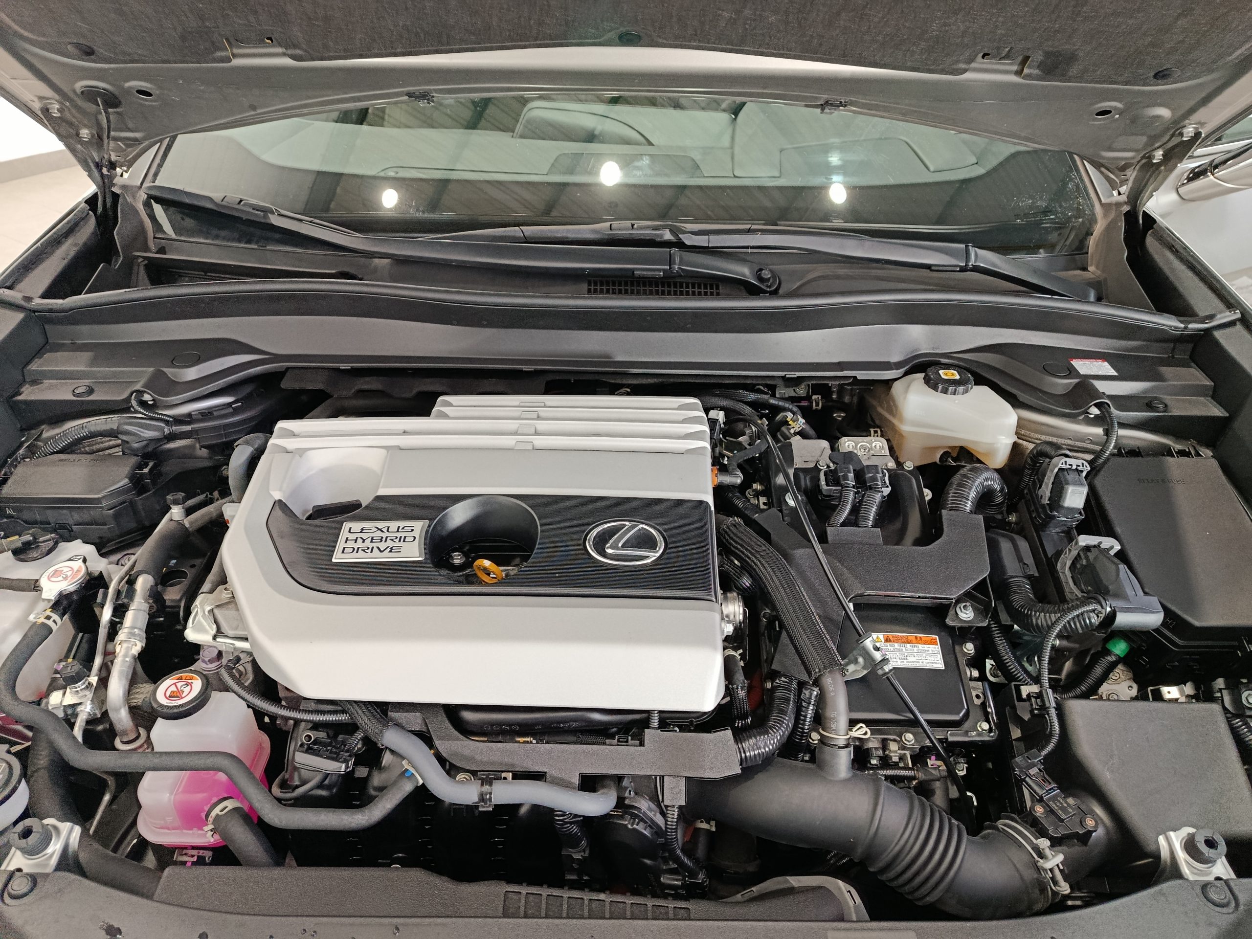 LEXUS UX 250h BUSSINESS AUTO 184CV - Imagen 21